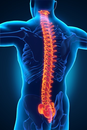 Proper spinal alignment