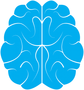 Image of brain Image of brain