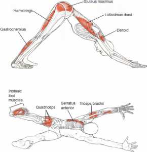 image3 image3